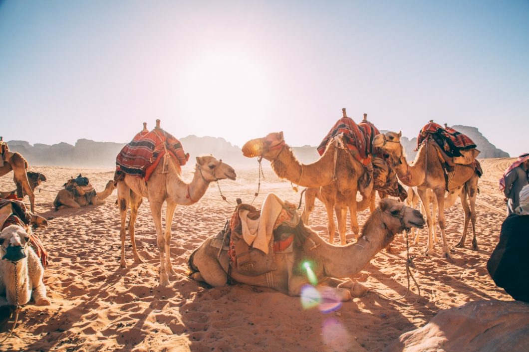Jordanien-Touren nach Themen: Entdecken Sie Jordanien nach Themen und Reiseerlebnissen